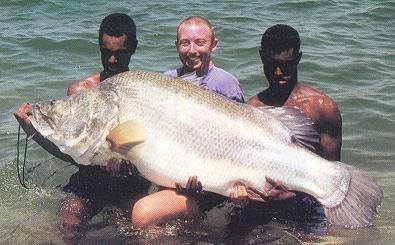 Gallery image for The African Angler